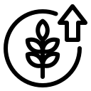 Prebiotic fibre